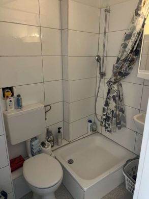 Duschbad - schnuckelige Dachgeschosswohnung