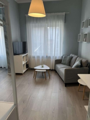 Wohn- u. Esszimmer - möbliertes Apartment im Stadtzentrum