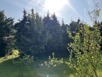 Baugrundstück - Kirchheim als neuer Lebensmittelpunkt